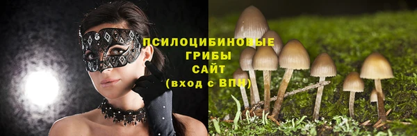Альфа ПВП Каменка