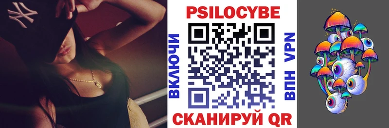 Псилоцибиновые грибы Psilocybine cubensis  Купить где  Терек 